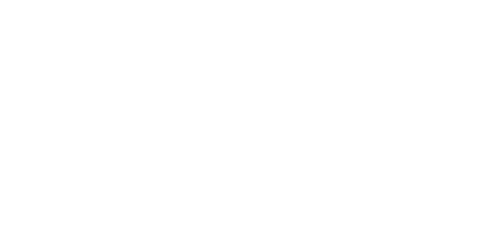 גיא ודורון לוי